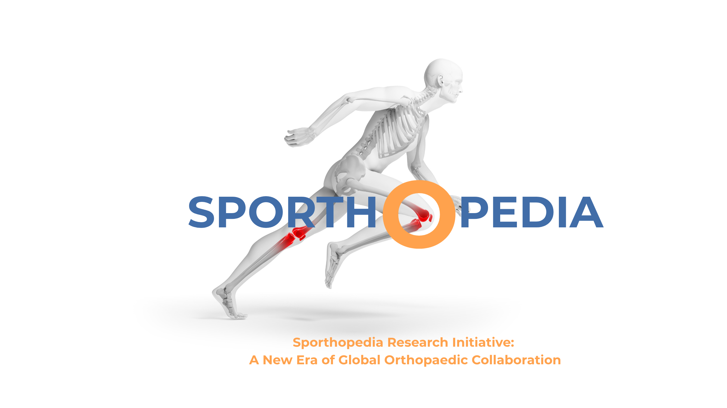 Ortopedi kopyası (Web sitesi)-1